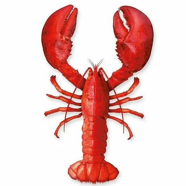 Kracht Geschirrtuch Küchentuch Trockentuch Lobster Digitaldruck